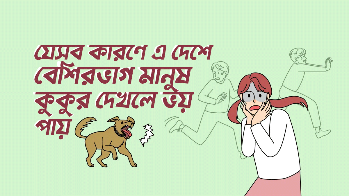 যেসব কারণে এ দেশে বেশিরভাগ মানুষ কুকুর দেখলে ভয় পায়