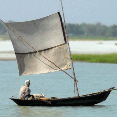 নৌকা