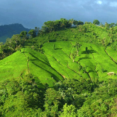 পাহাড়