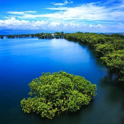 টাঙ্গুয়ার হাওর