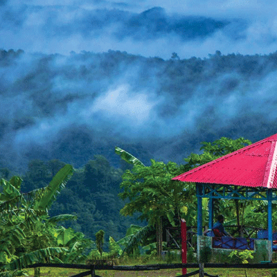 সাজেক