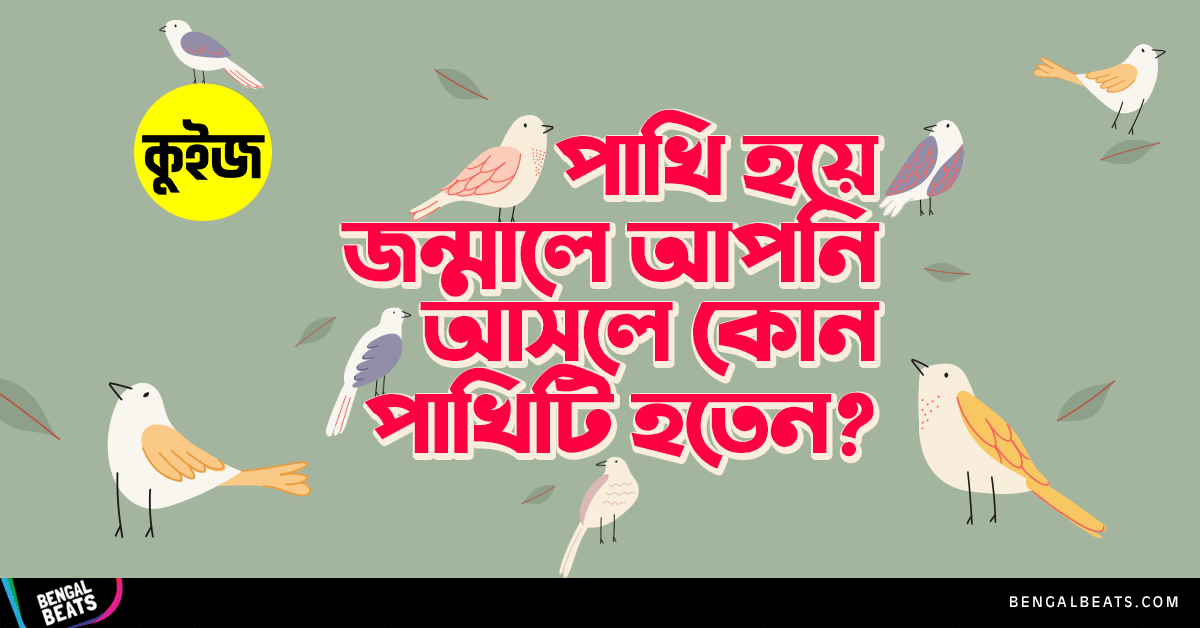 Quiz: জেনে নিন পাখি হয়ে জন্মালে আপনি আসলে কোন পাখিটি হতেন